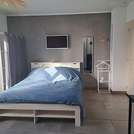 Studio Dans Maison Avec Jardin Et Balcon, Au Calme Serezin-du-Rhone Экстерьер фото