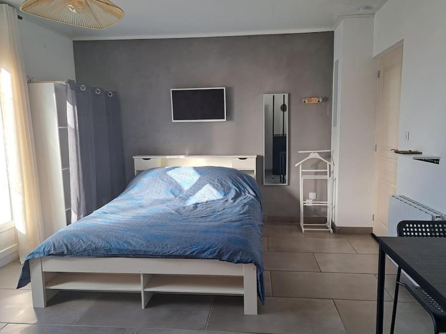 Studio Dans Maison Avec Jardin Et Balcon, Au Calme Serezin-du-Rhone Экстерьер фото