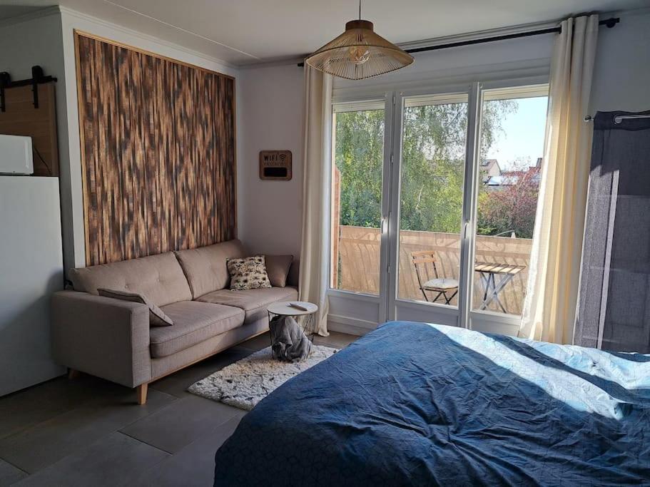 Studio Dans Maison Avec Jardin Et Balcon, Au Calme Serezin-du-Rhone Экстерьер фото